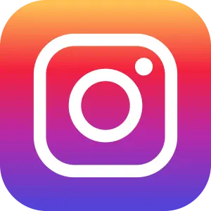 icone-instagram